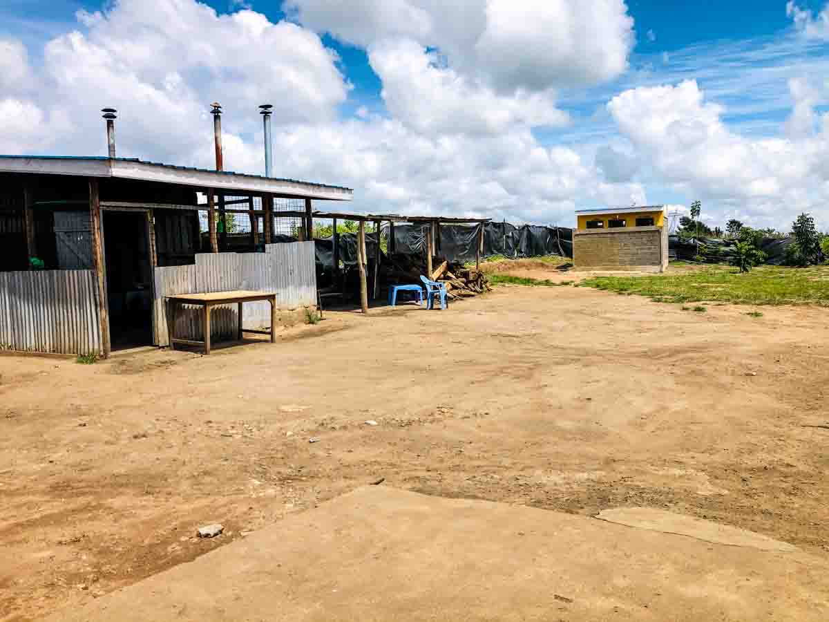 01. Zo was het in 2020